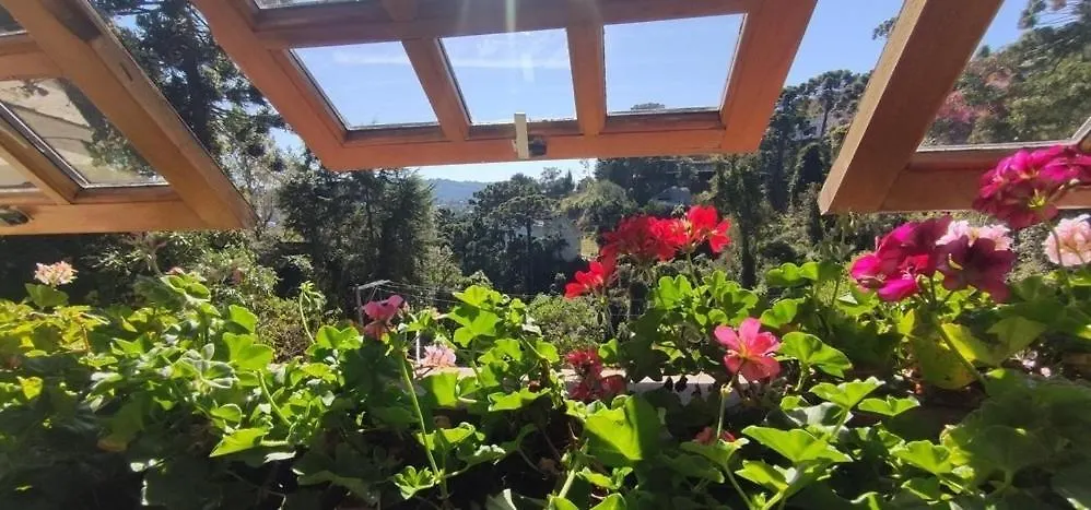 Morada Dos Platanos - Suites Campos do Jordao Guest house