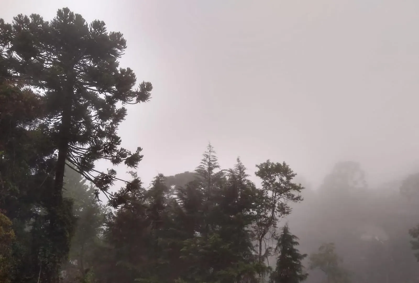 Morada Dos Platanos - Suites Campos do Jordao