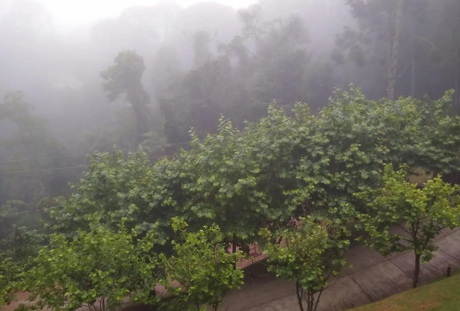 Morada Dos Platanos - Suites Campos do Jordao Brazil