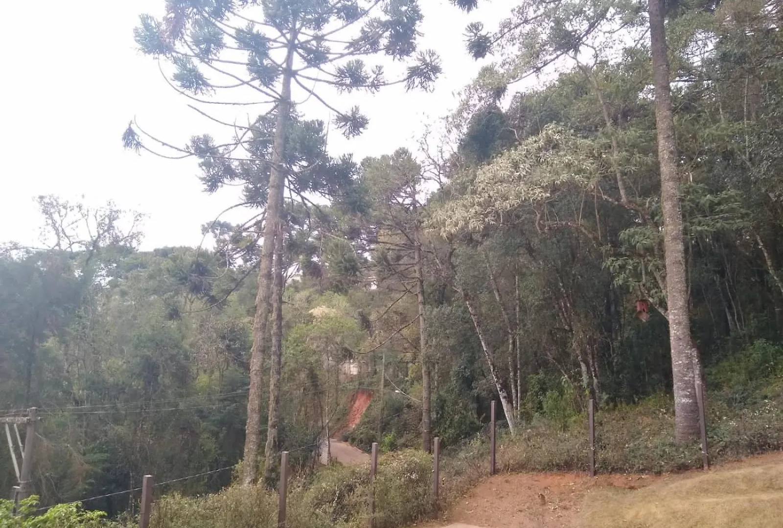 Morada Dos Platanos - Suites Campos do Jordao Guest house