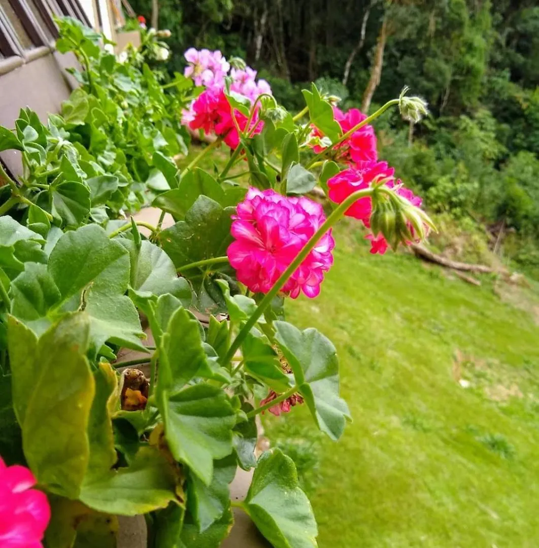 Morada Dos Platanos - Suites Campos do Jordao